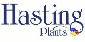 Hasting Plants